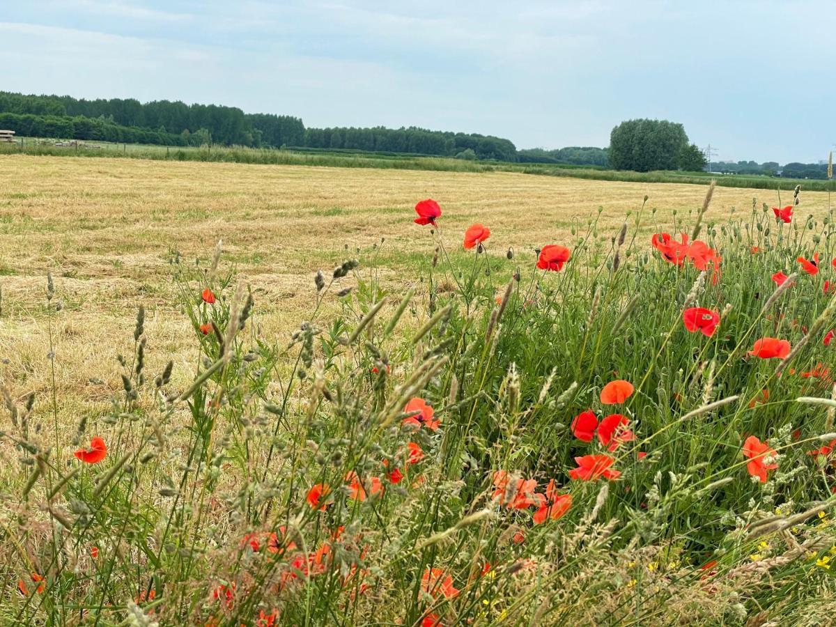 Camping De Vliert Bunnik Exteriör bild